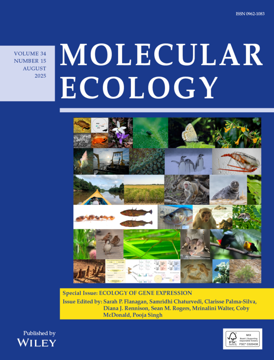 mec_cover